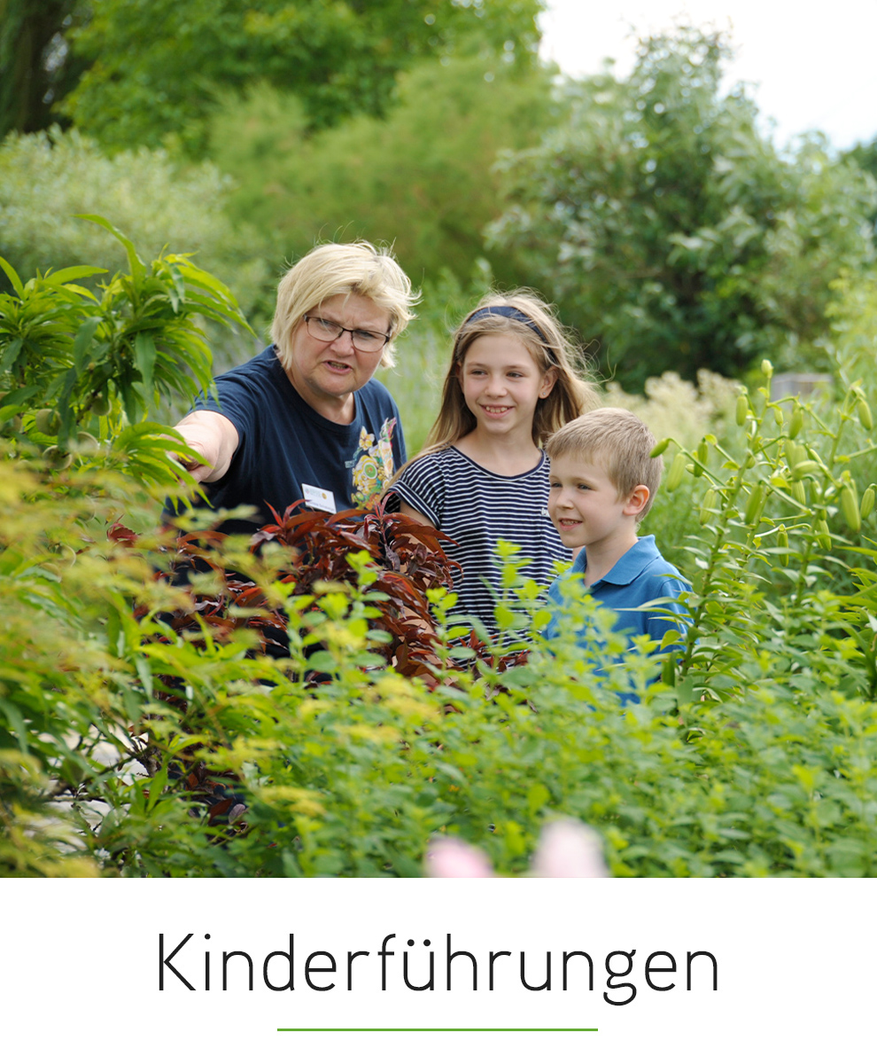 Kinderführungen in der World of STYX, Ober-Grafendorf